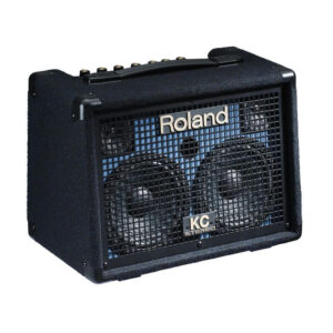 Keyboard Amps